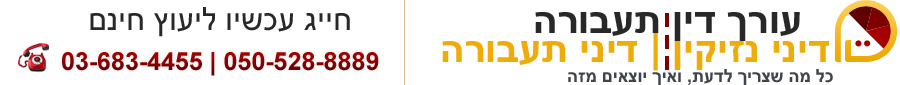 עורך דין תעבורה, נהיגה בשכרות, דיני תעבורה מעורך דין מקצועי